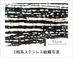 2相系ステンレス組織写真