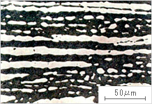 二相不锈钢组织照片