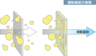 清除凝胶示意图